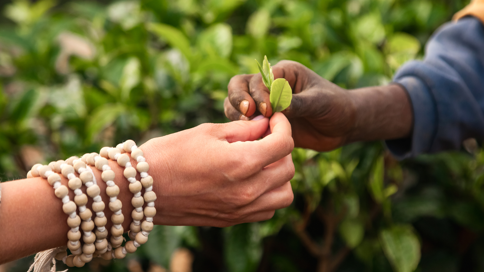 YALA alumni and academy pathway stage