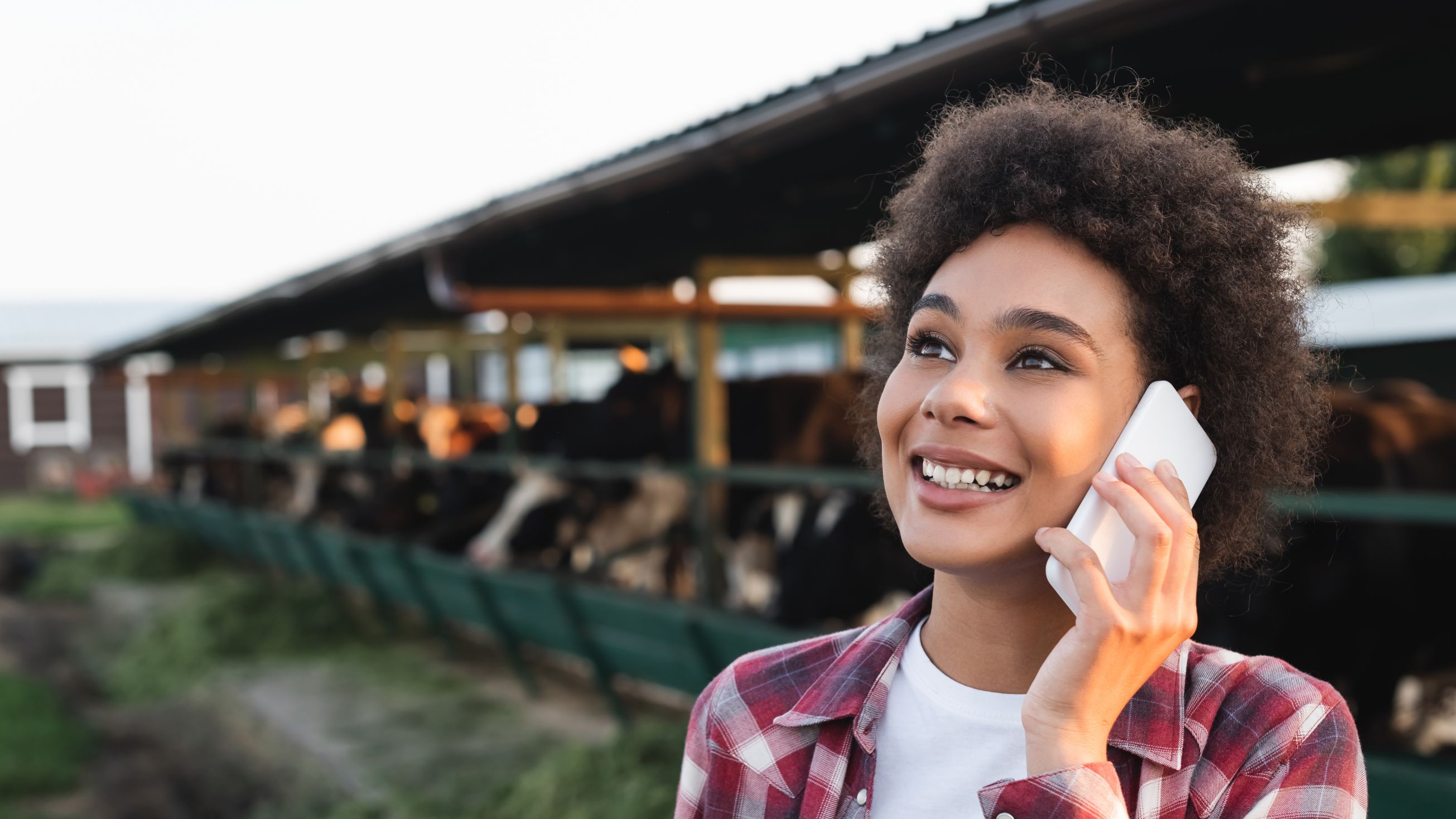 KLF contact hero banner